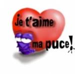je t'aime ma pus